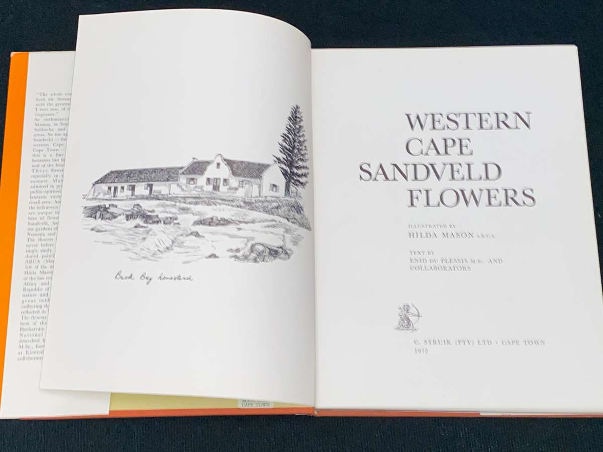 WESTERN CAPE SANDVELD FLOWERS BY HILDA MASON