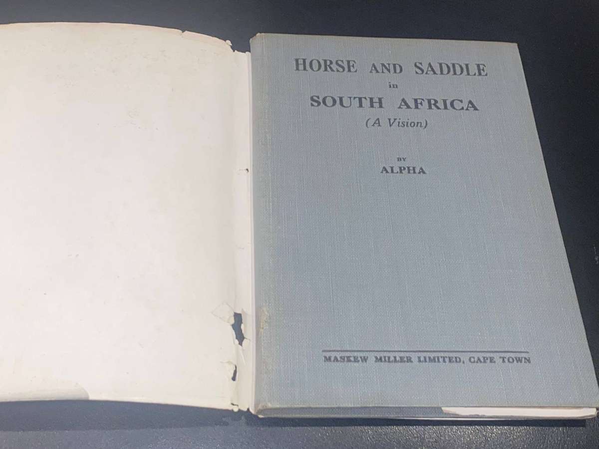 HORSE AND SADDLE IN SOUTH AFRICA BY ALPHA