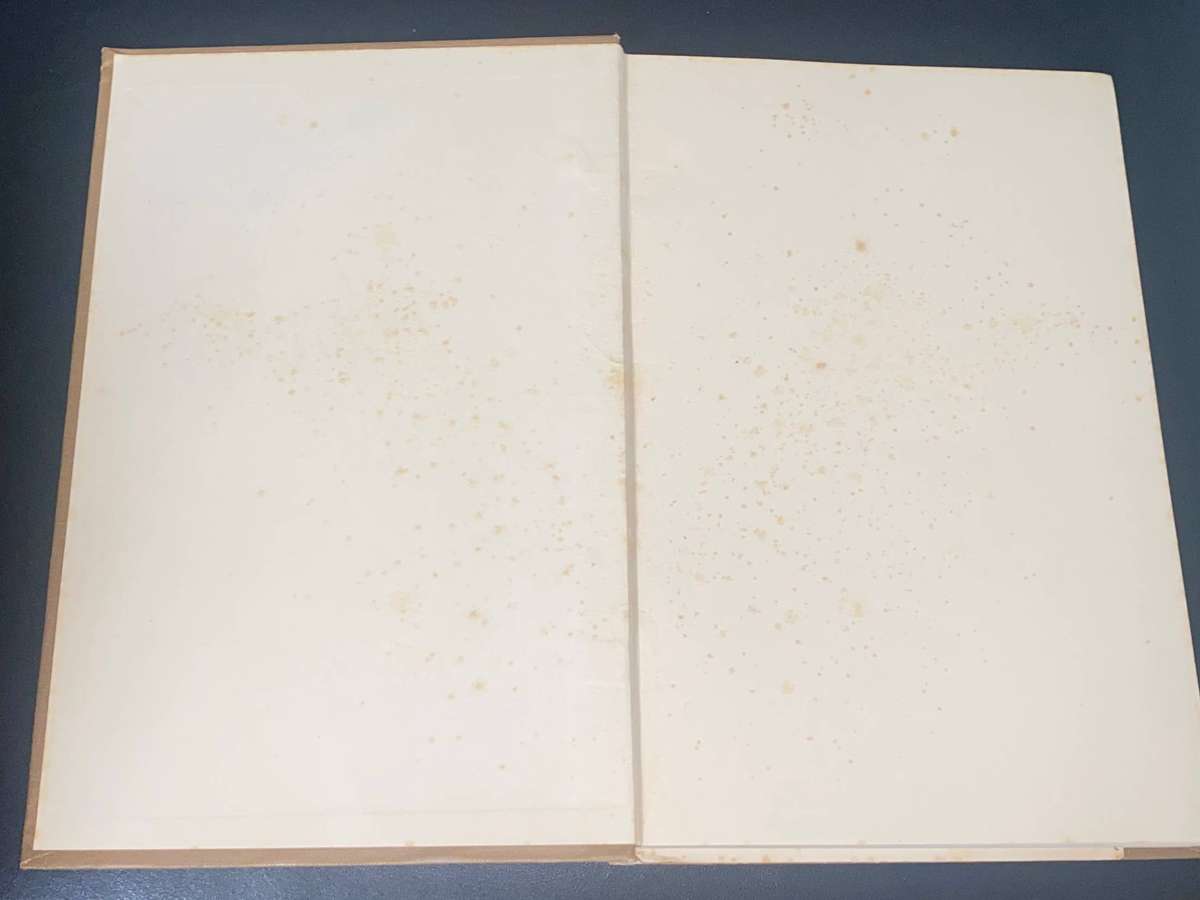 PRINCIPLE OF COMBUSTION IN THE STEAM BOILER FURNACE BY ARTHUR D. PRATT 1936 REVISED