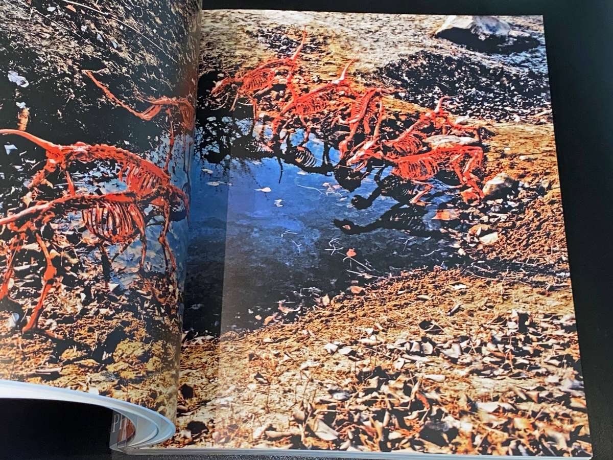 ZHANG HUAN - PHAIDON