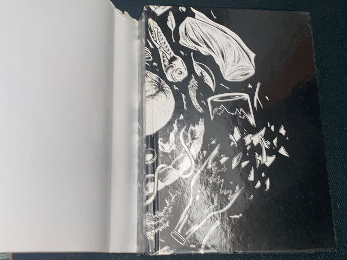 BLACK HOLE BY CHARLES BURNS GRAPHIC