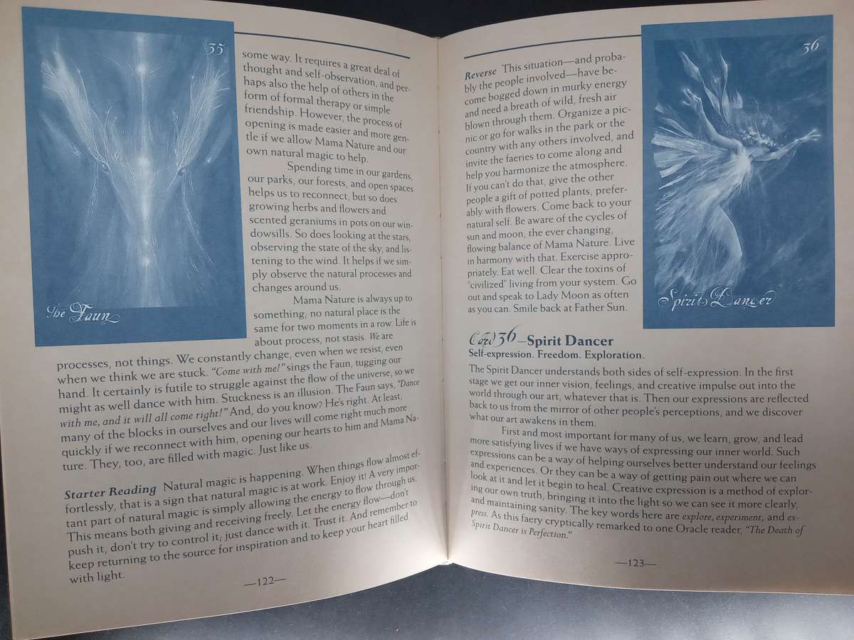 Fairy Lovers! Diverse Collection of Fairies and Figures as well as a Comprehensive Book on Fairies