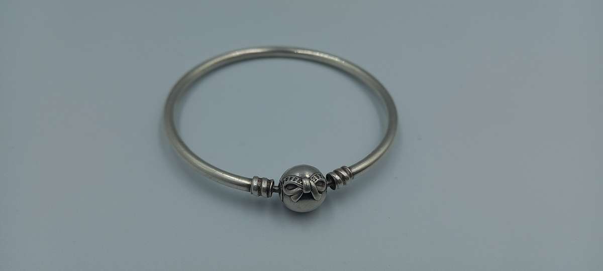 Beautiful Pandora Bangle