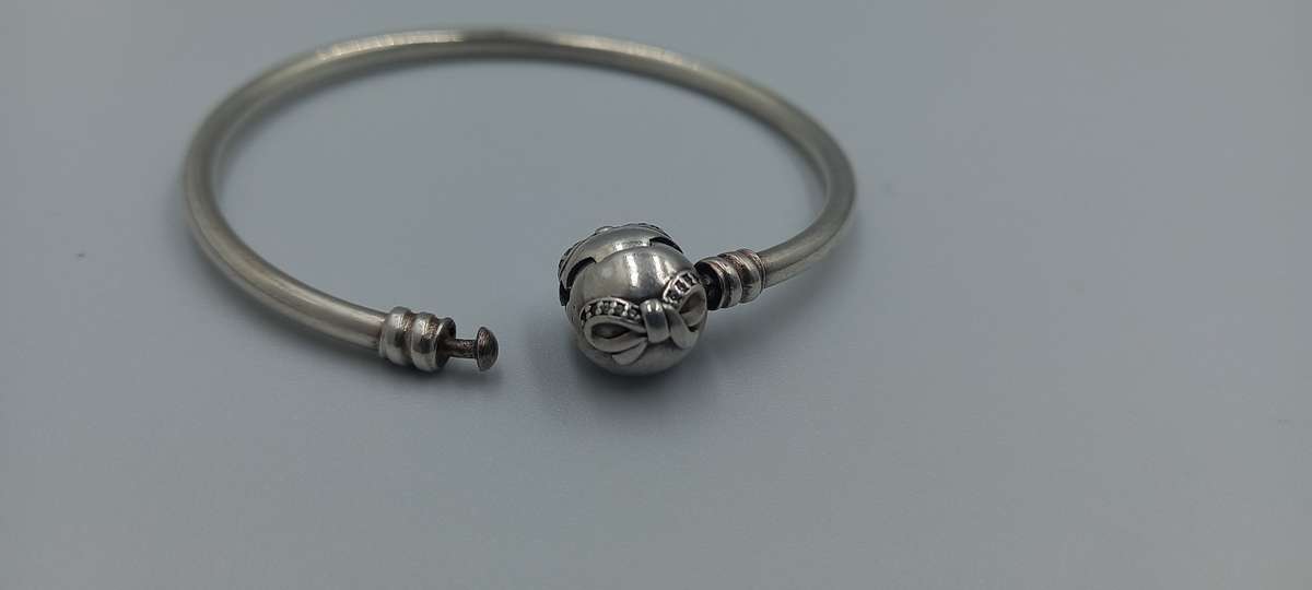 Beautiful Pandora Bangle