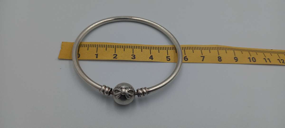 Beautiful Pandora Bangle