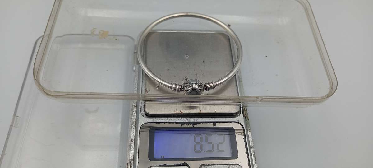 Beautiful Pandora Bangle