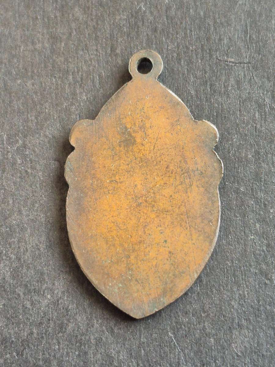 Proclamation of Johannesburg Bronze Medallion 1928