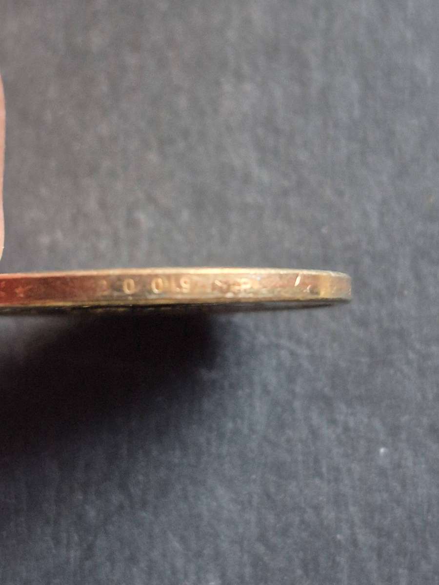 USA Sacagawea Dollar 2009P