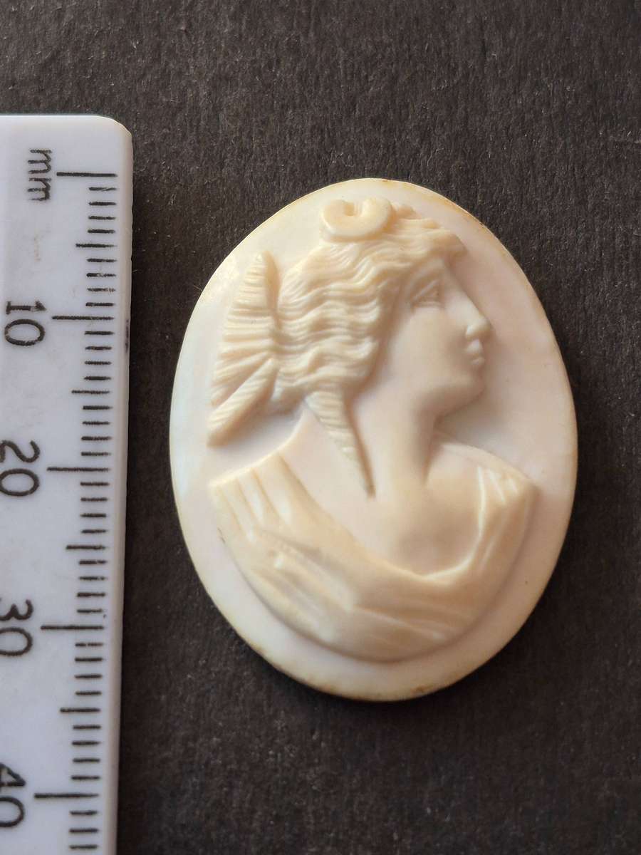 Vintage Shell Cameo