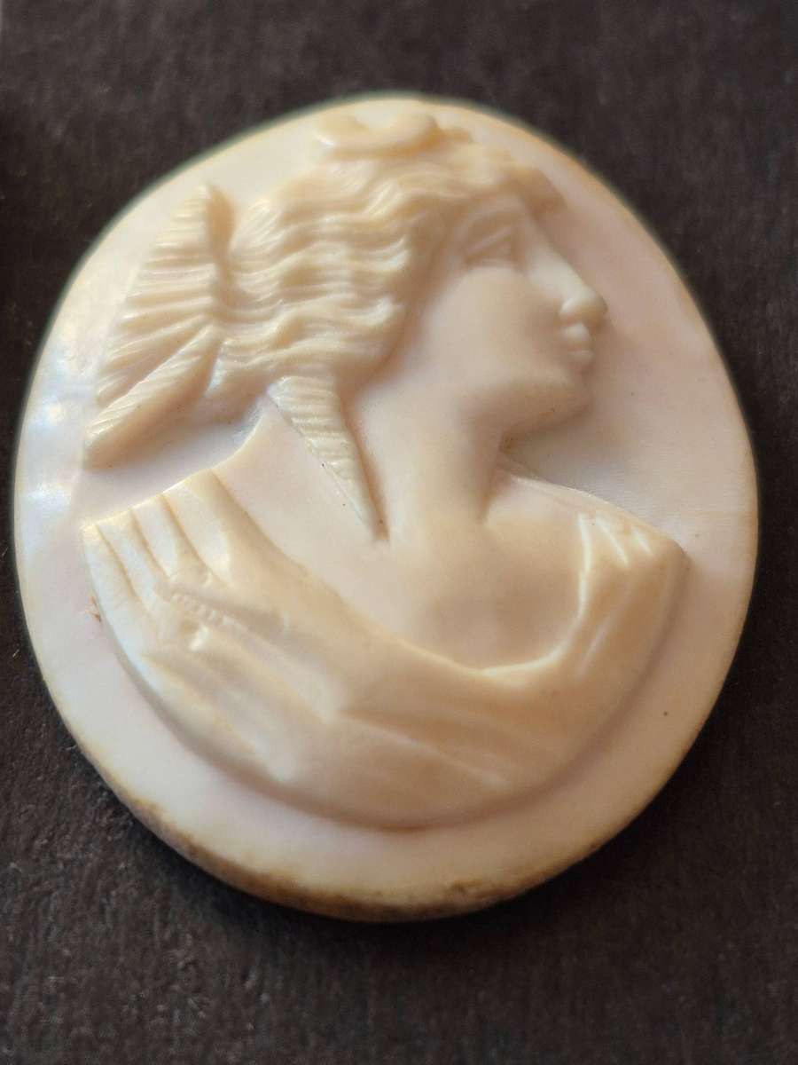 Vintage Shell Cameo