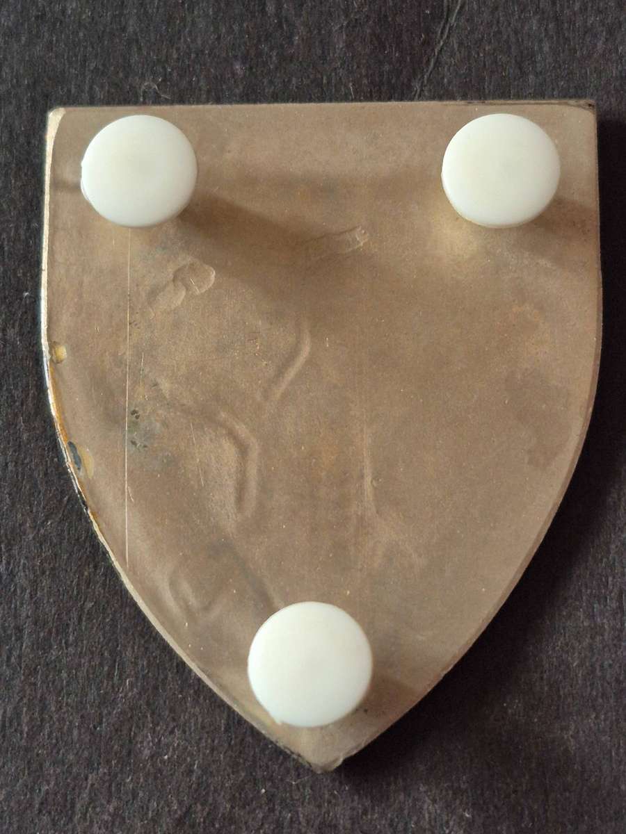 SADF Natal Command Shoulder Flash