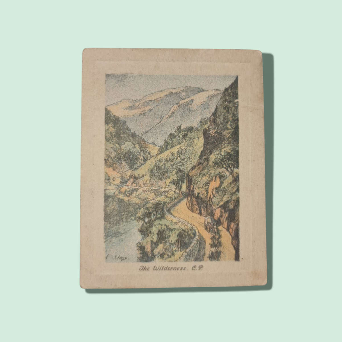 South Africa: The Wilderness, CP  Card