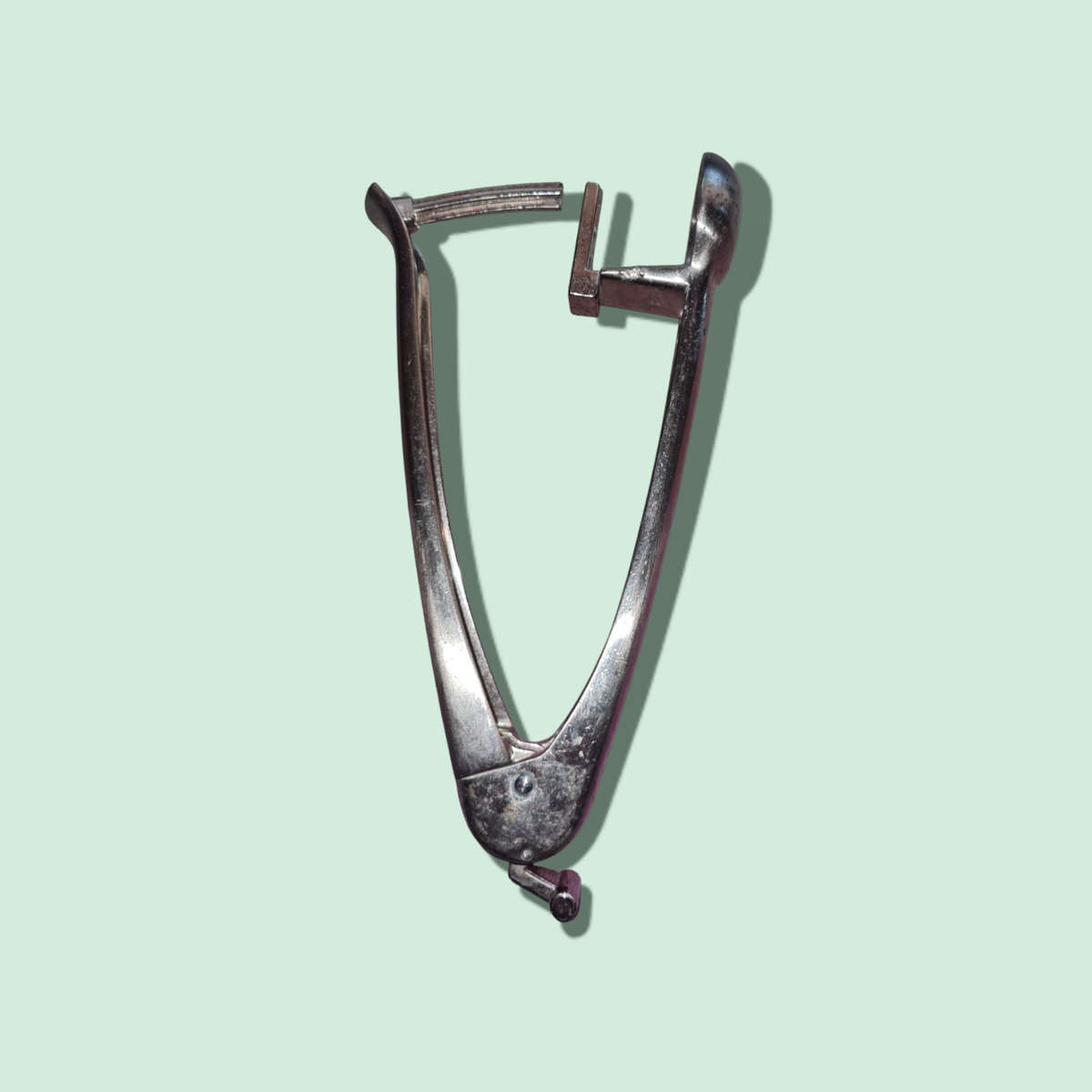 Cherry / Olive Pitter Tool