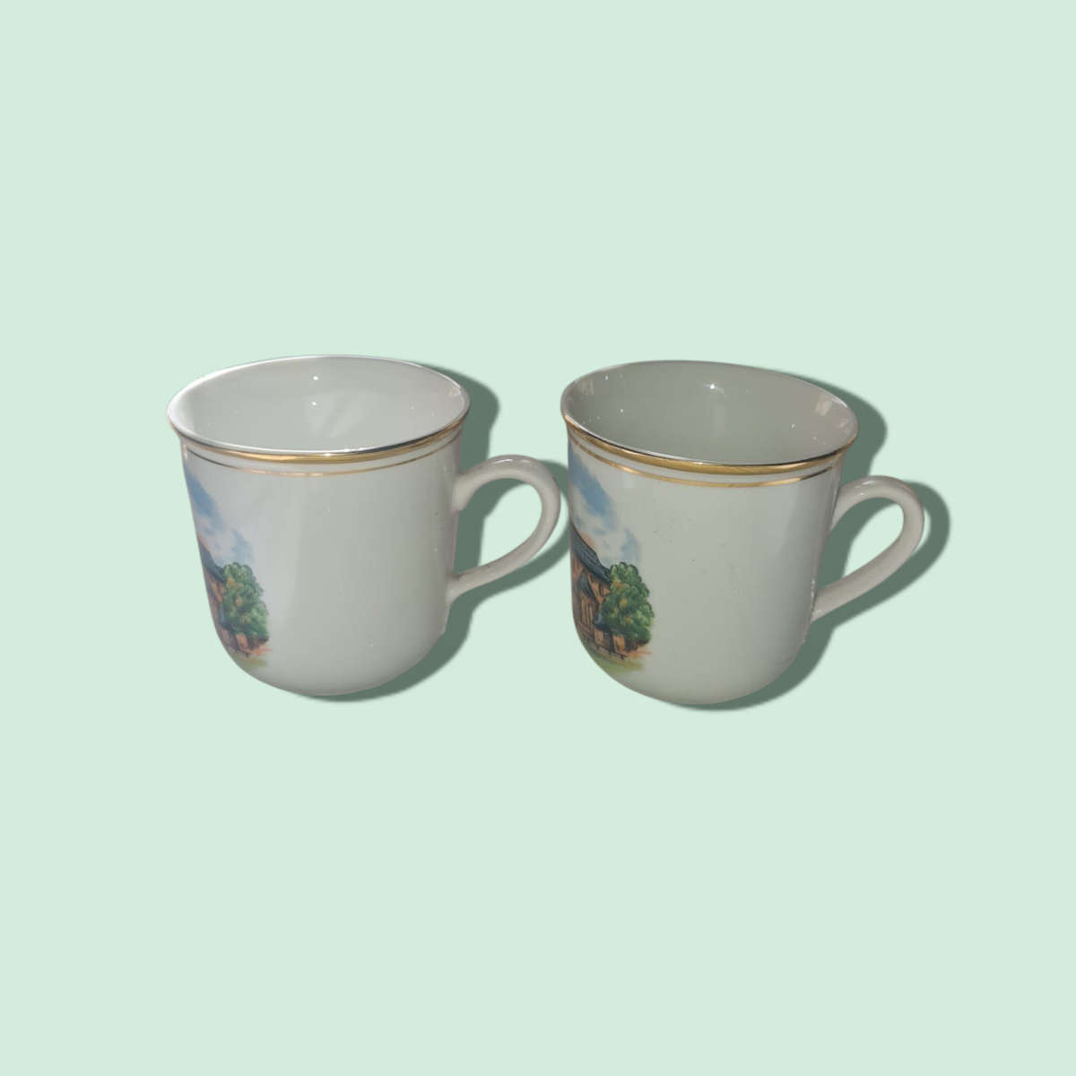 Vintage Czechoslovakia D Gurt Tea Cups x 2