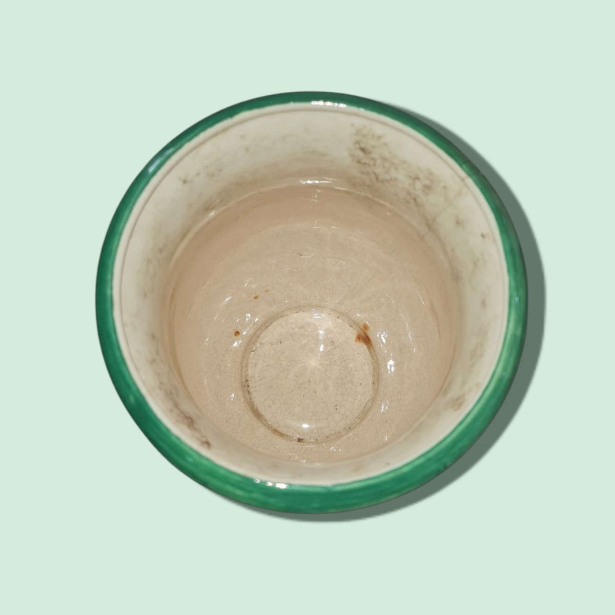 Handpainted Falcon Ware Sanora Vase