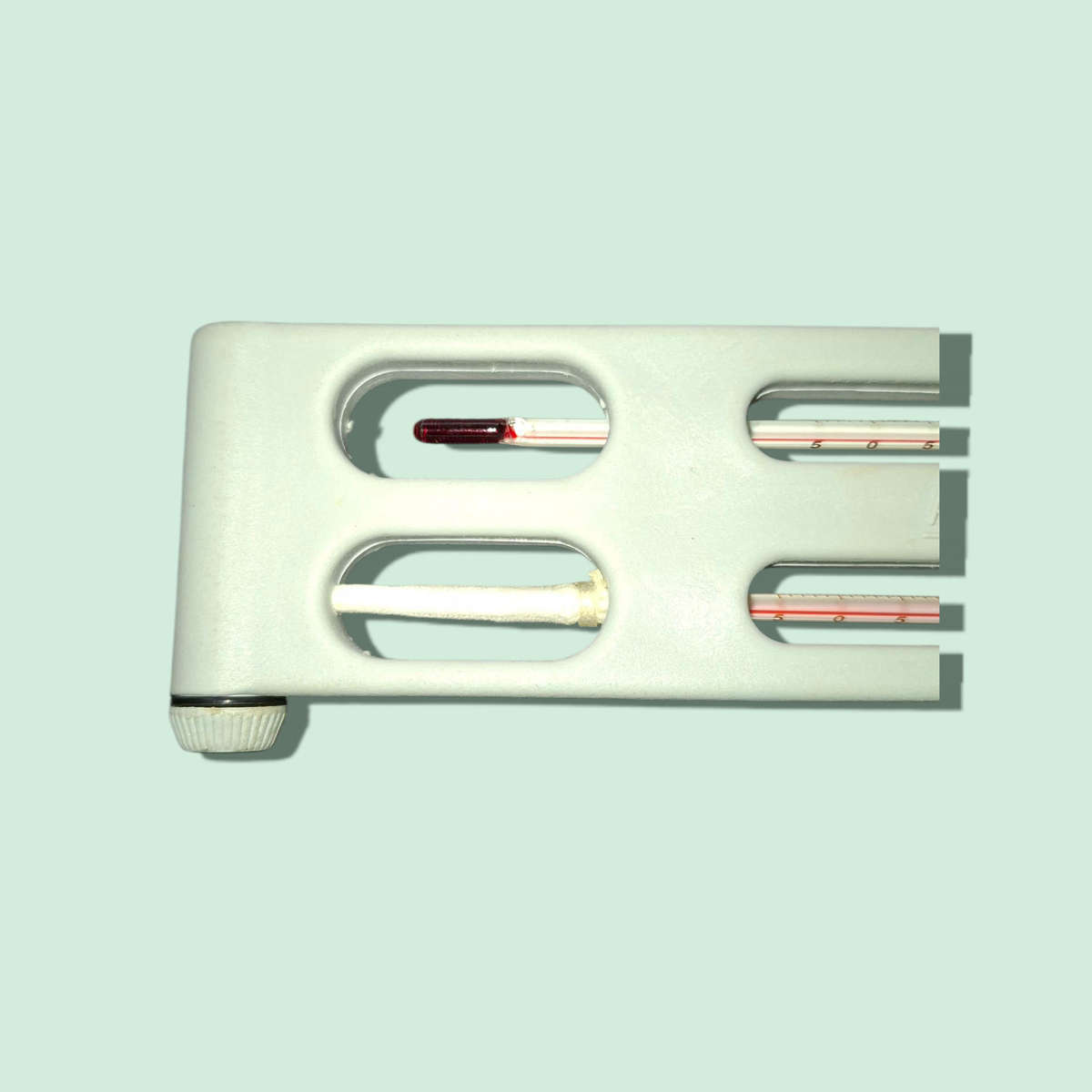 AMS HADEN Whirling Hygrometer