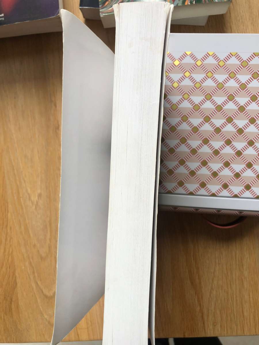 Edwin Hung - The Nature of Science: Problems and Perspectives