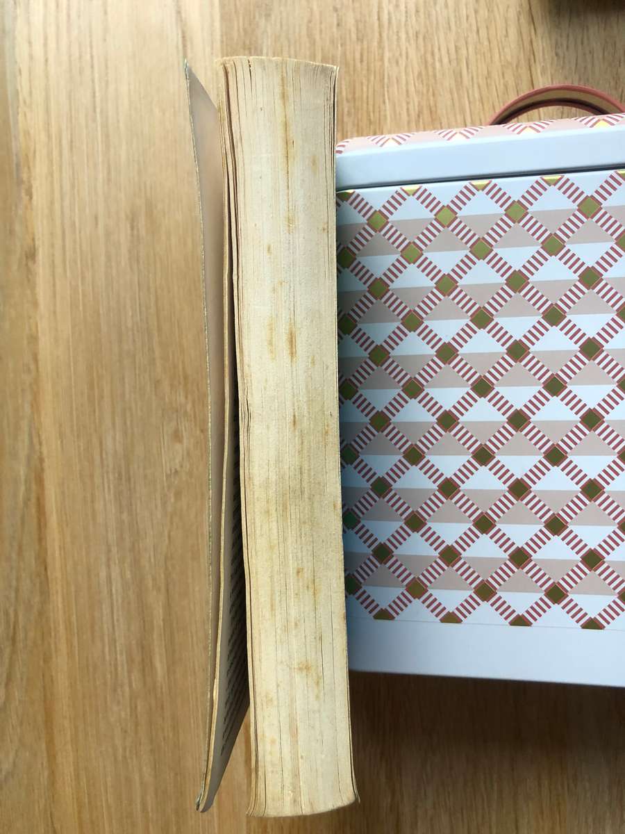 Steven Rose - The 21st Century Brain