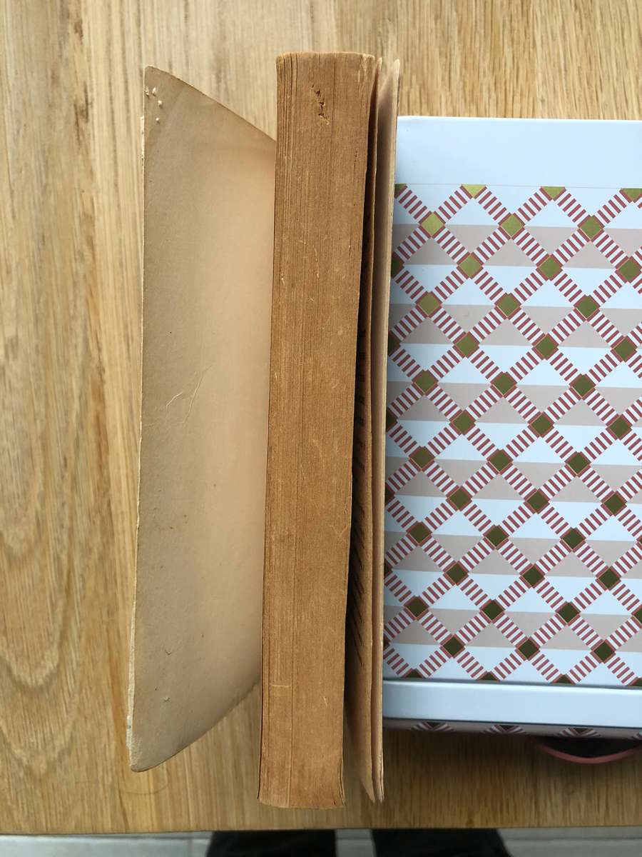 Michel Foucault - Madness and Civilization