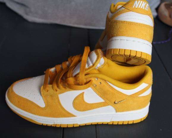 BRAND NEW Nike Dunk Low