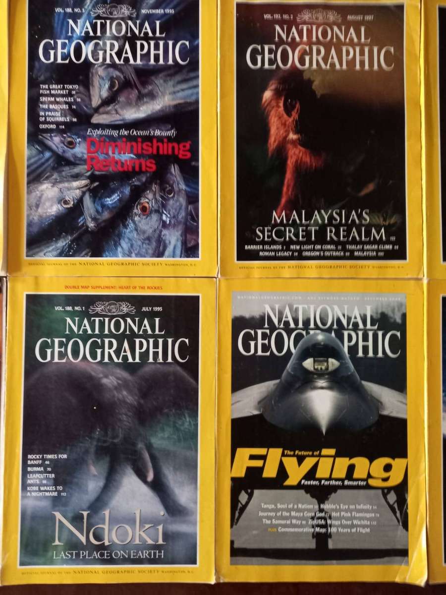National Geographic: Stack of 11 issues from the 1990's and one from 2003. (not sold separately)