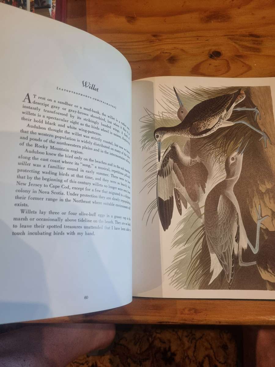 Audubon - Birds of America