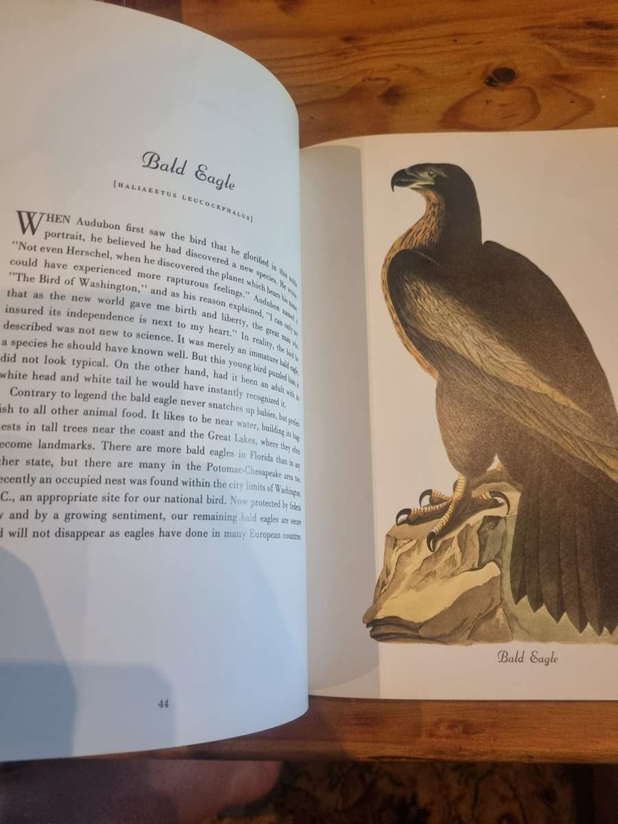 Audubon - Birds of America