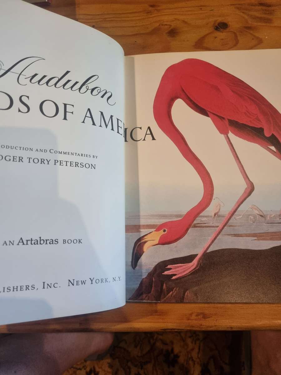 Audubon - Birds of America