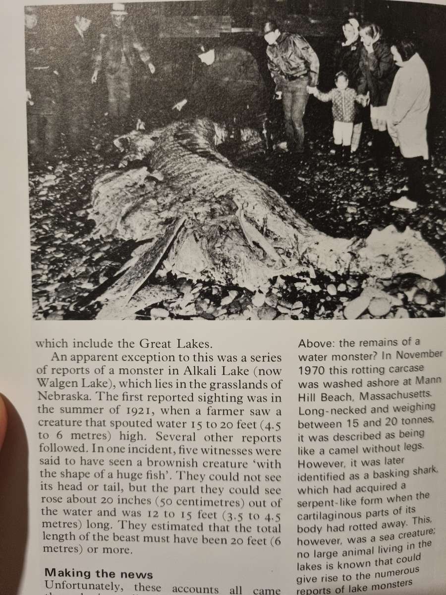 Mysteries of Mind, Space, and Time.