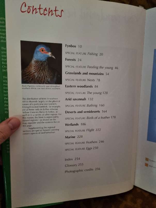 Spectacular World of Southern Africa Birds