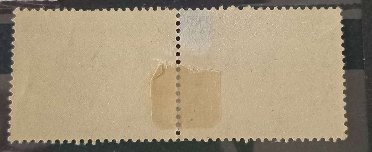 South Africa 1933-48 Hyphenated Pictorial 5/- pair with small  varieties(dots) MH CV R1400