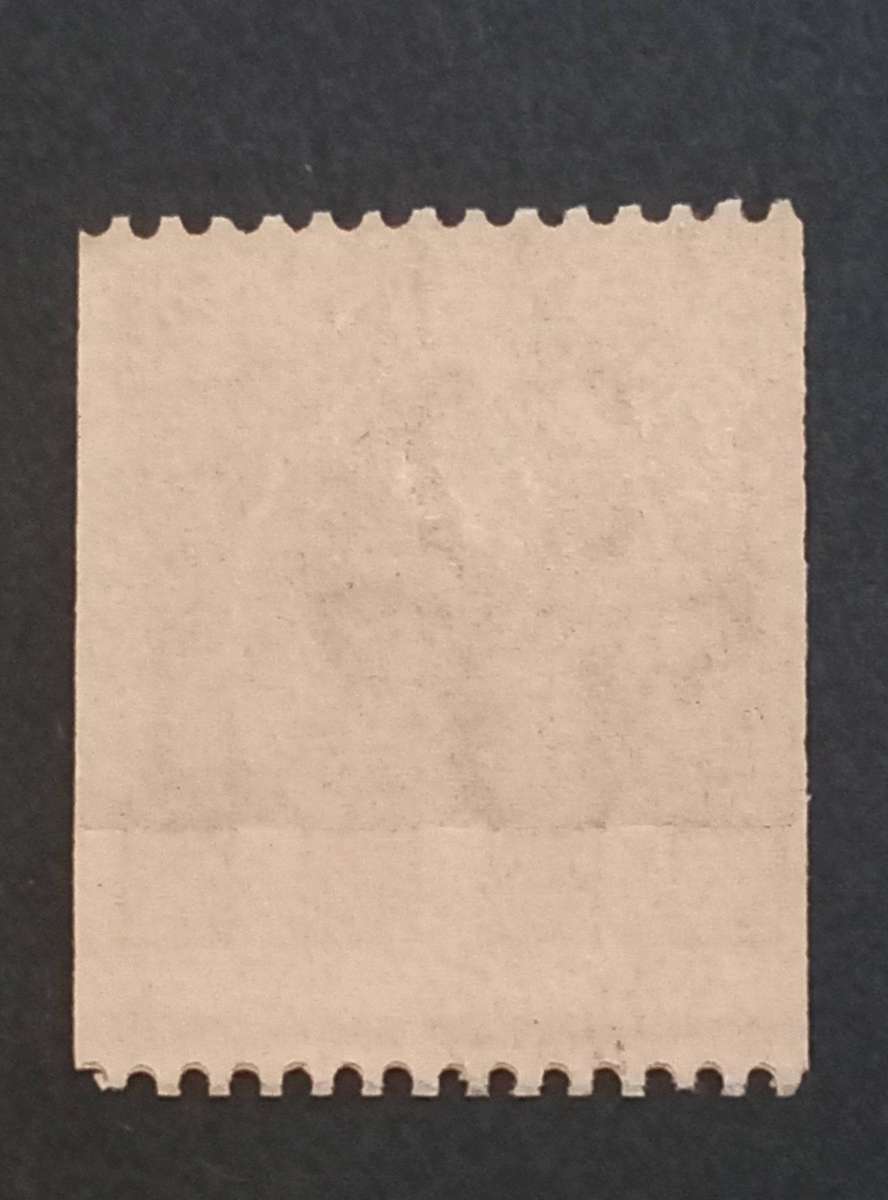Union of SA, Scarce Repaired Paper(Double bottom perfs) 1d Scarlet coil stamp, SG19 var