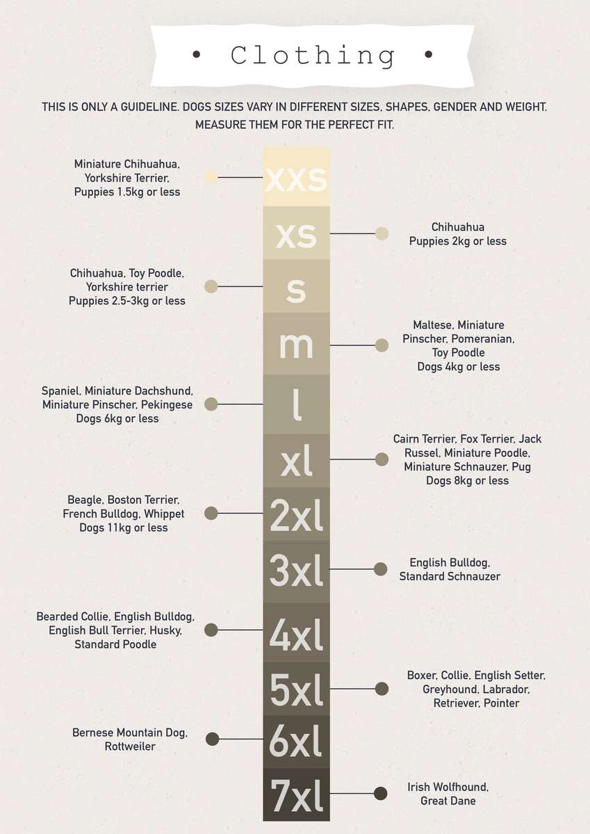 Dog Clothing / Jersey - small