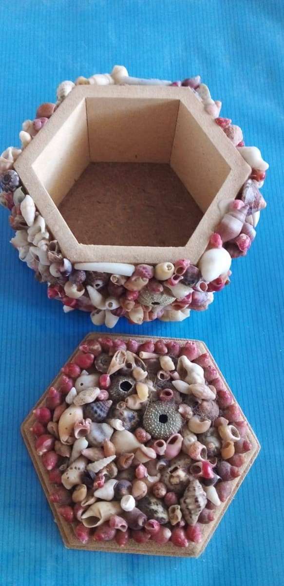 Sea Shell Jewelry Box - 11 cm Diameter by 7 cm Height
