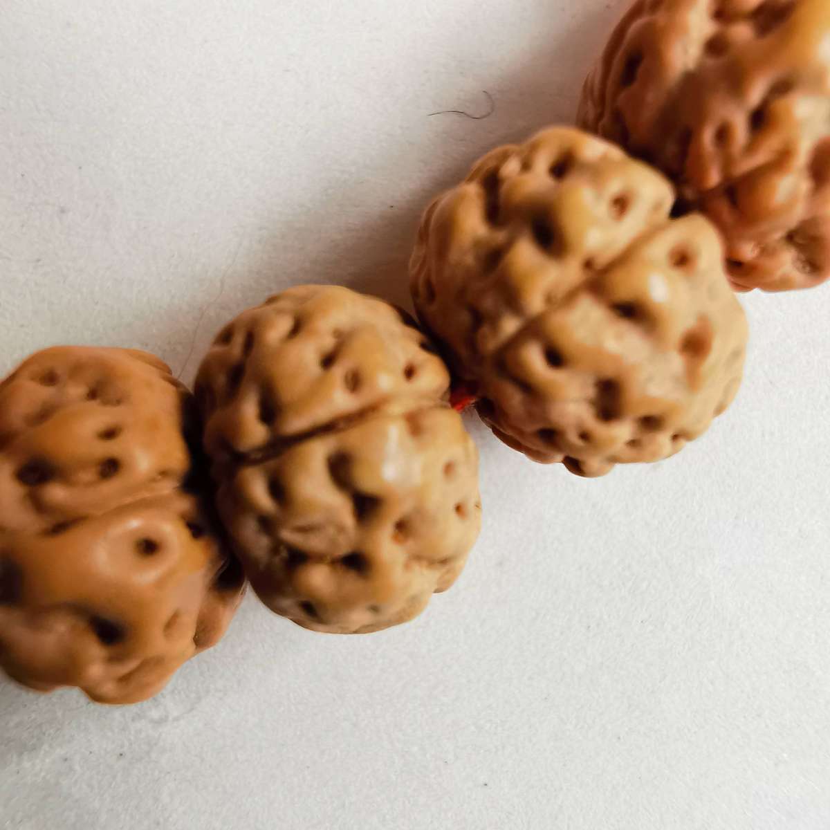 The Little Vajrayana Bodhi Carving Bracelet with decades of Tibetan culture