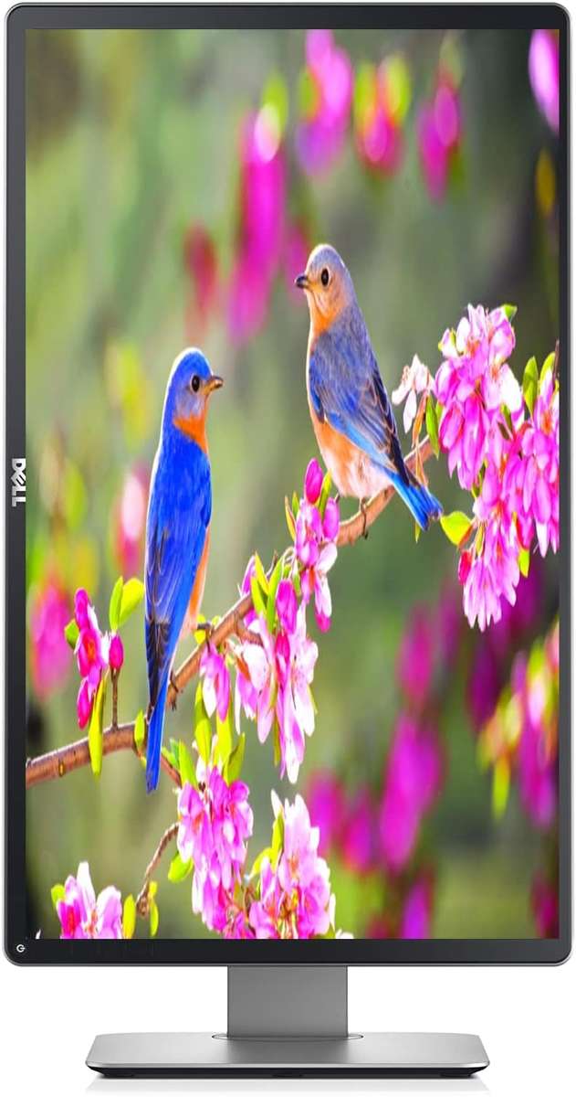 Dell 23-inch Widescreen FHD LCD Monitor - Dell P2314HT Full HD Computer Monitor