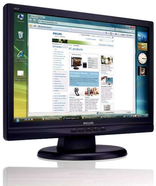 Philips 170CW LCD Monitor VGA Port