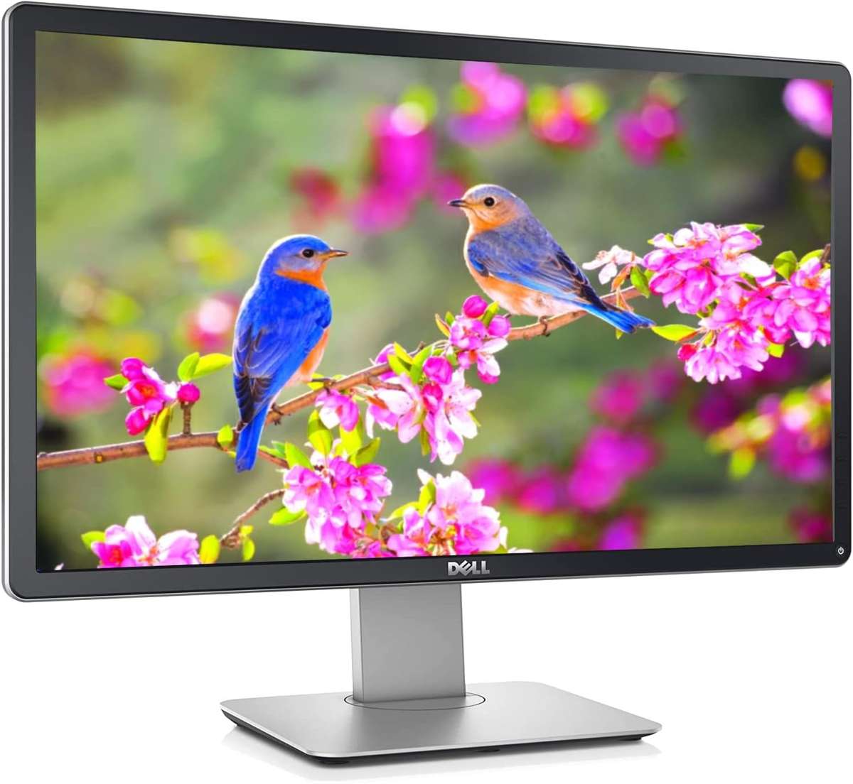 Dell 23-inch Widescreen FHD LCD Monitor - Dell P2314HT Full HD Computer Monitor