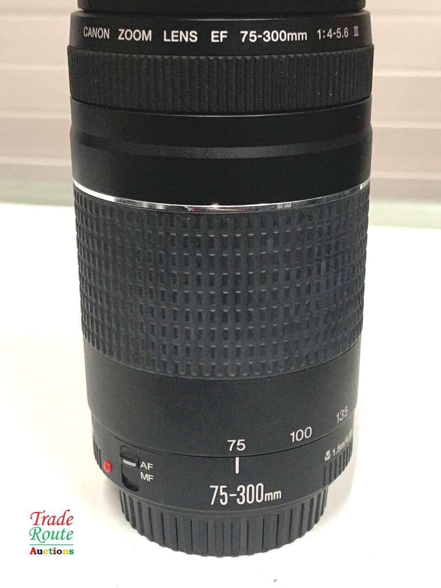 Canon EF 75-300mm 4-5.6 Mark iii Telephoto Zoom Lens for 600D, 650D, 700D, 750D 1200D 1300D Etc