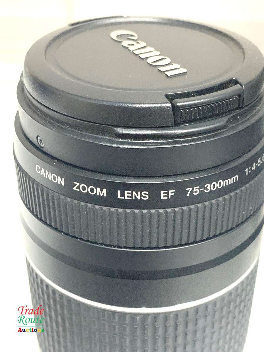 Canon EF 75-300mm 4-5.6 Mark iii Telephoto Zoom Lens for 600D, 650D, 700D, 750D 1200D 1300D Etc