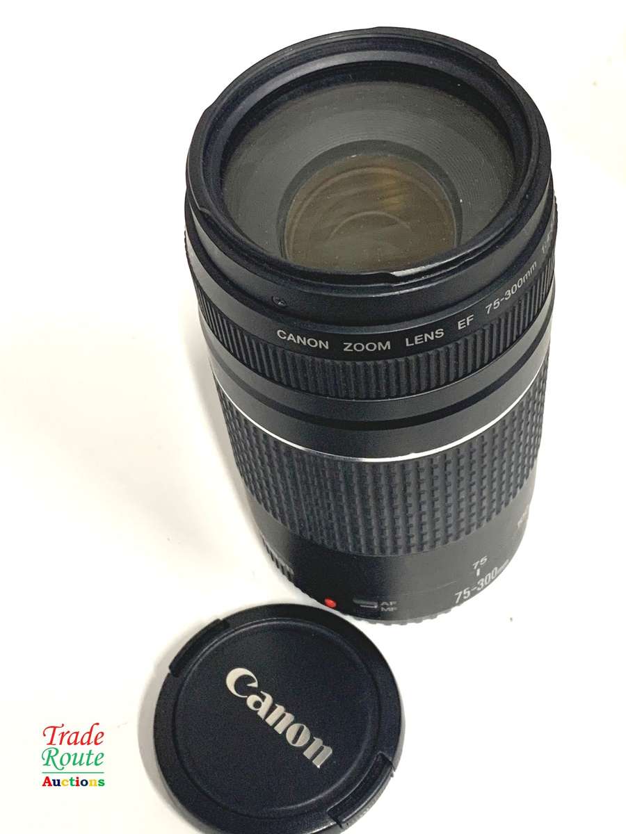 Canon EF 75-300mm 4-5.6 Mark iii Telephoto Zoom Lens for 600D, 650D, 700D, 750D 1200D 1300D Etc