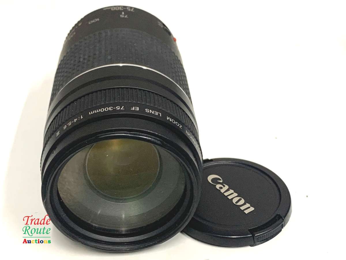Canon EF 75-300mm 4-5.6 Mark iii Telephoto Zoom Lens for 600D, 650D, 700D, 750D 1200D 1300D Etc