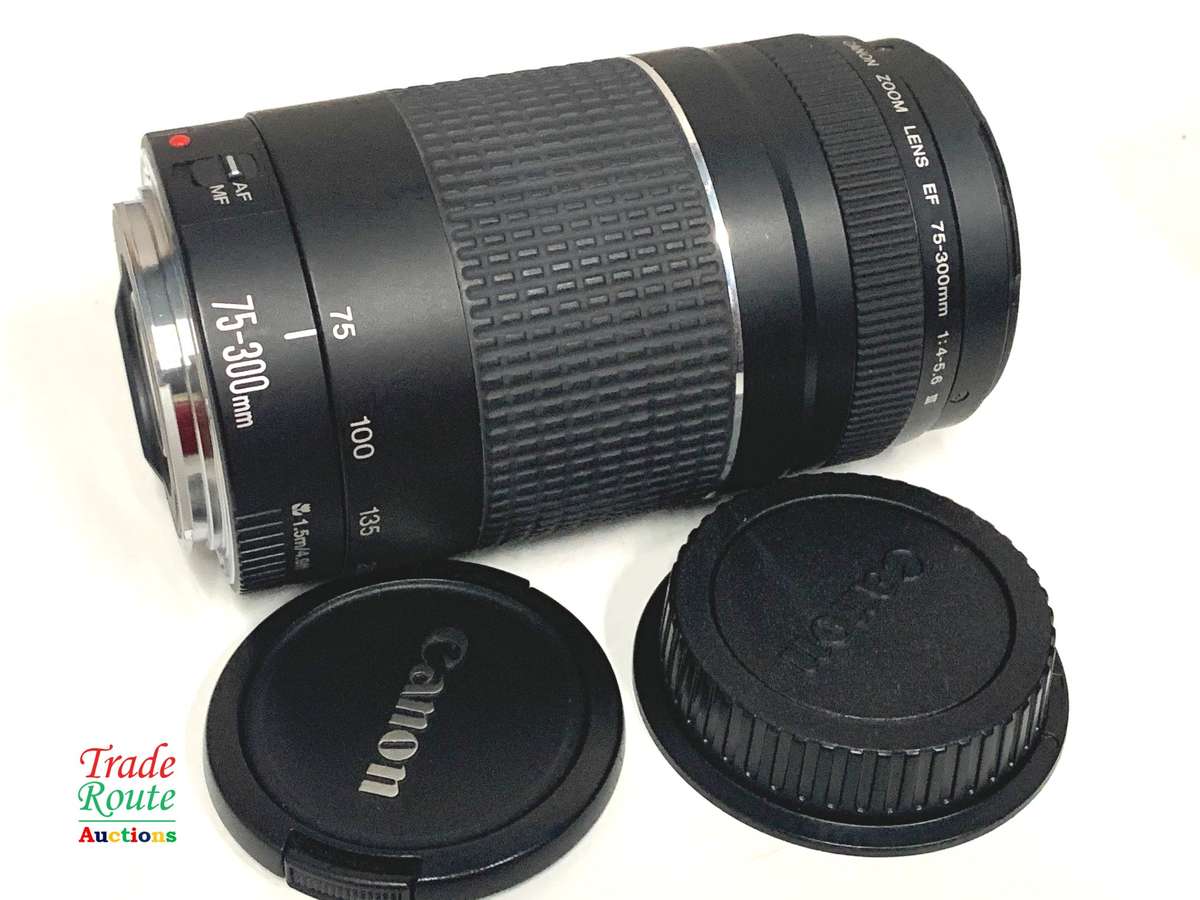 Canon EF 75-300mm 4-5.6 Mark iii Telephoto Zoom Lens for 600D, 650D, 700D, 750D 1200D 1300D Etc