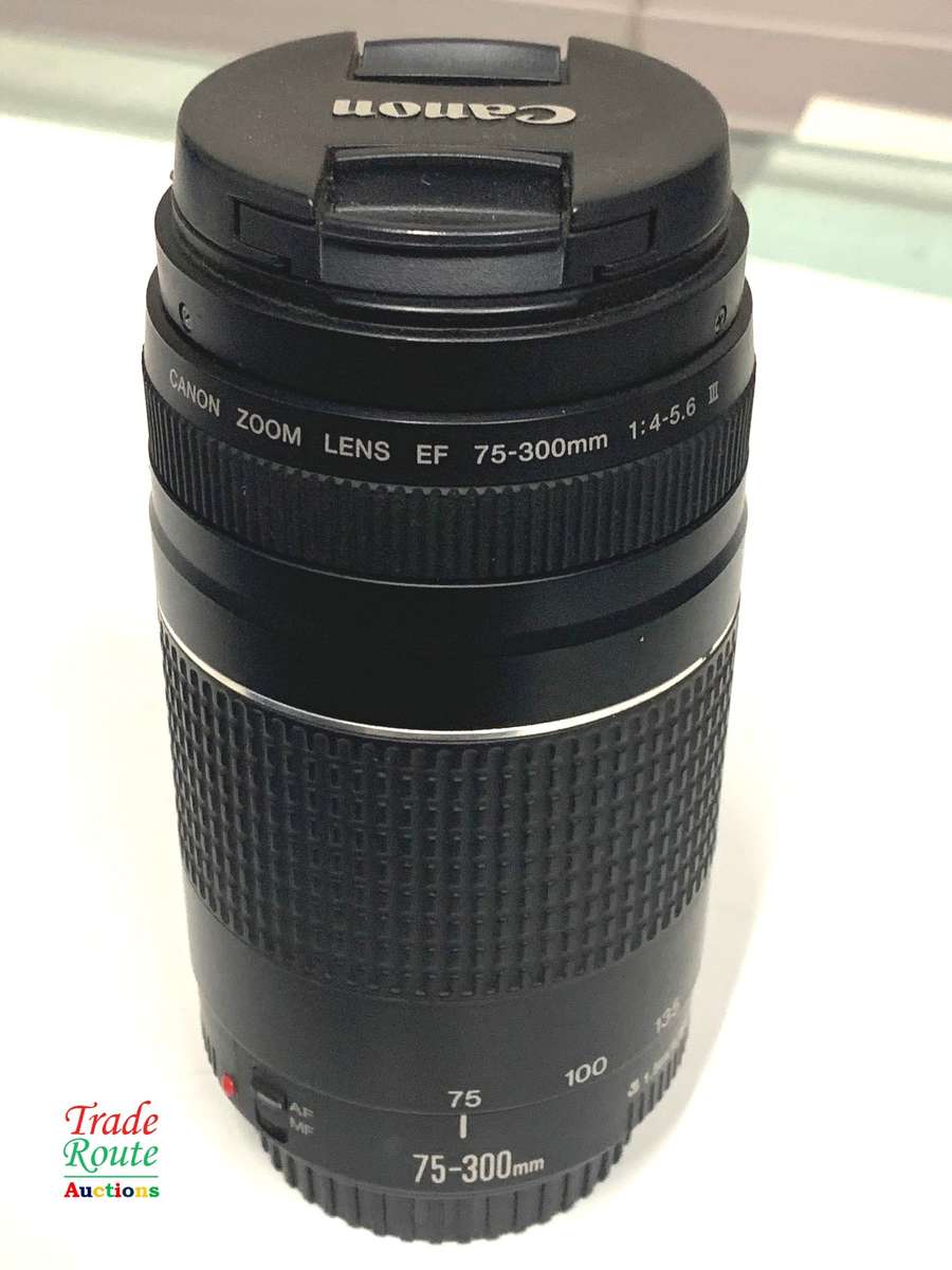 Canon 75-300mm 4-5.6 Mark iii Telephoto Zoom Lens for 600D, 650D, 700D, 750D 1200D 1300D Etc