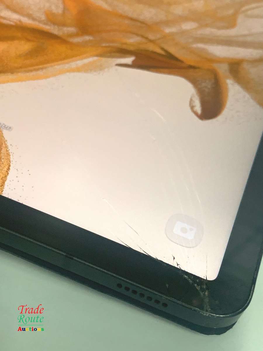 Galaxy Tab S8 SM-X706B 256GB 11-inch 5G Tablet - Outer glass cracked corner