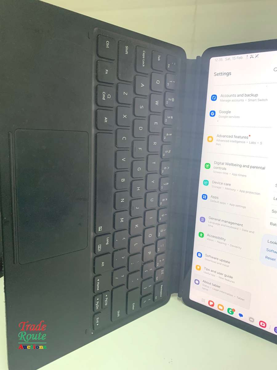 Galaxy Tab S8 SM-X706B 256GB 11-inch 5G Tablet - chipped corner