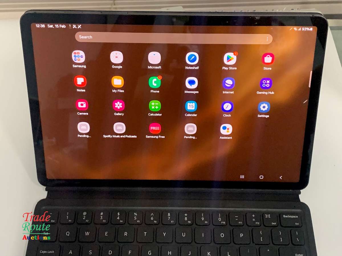 Galaxy Tab S8 SM-X706B 256GB 11-inch 5G Tablet - chipped corner