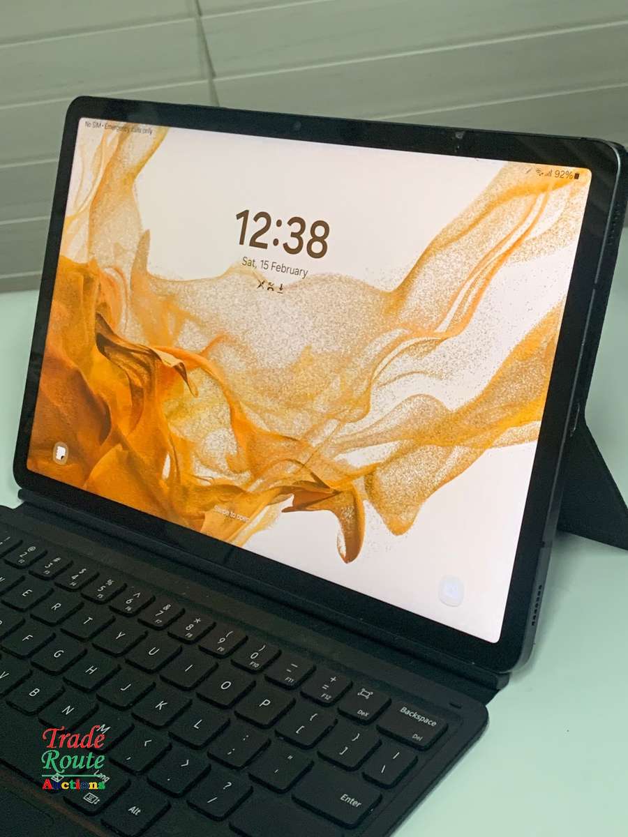 Galaxy Tab S8 SM-X706B 256GB 11-inch 5G Tablet - chipped corner