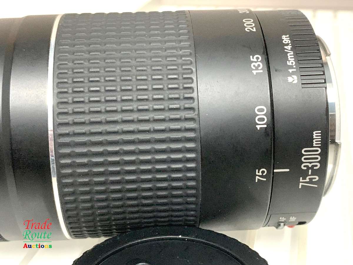 Canon 75-300mm Telephoto Zoom Lens