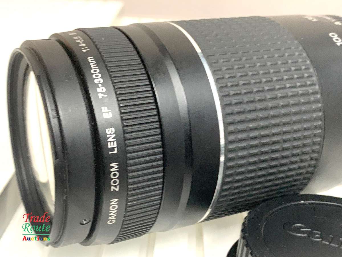 Canon 75-300mm Telephoto Zoom Lens